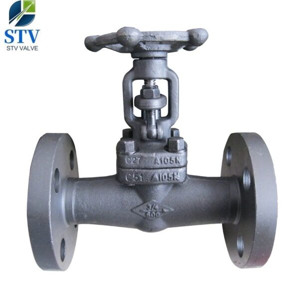 API 602 Integral Flange Gate Valve,600LB,A105N Body,DN 20,RTJ End