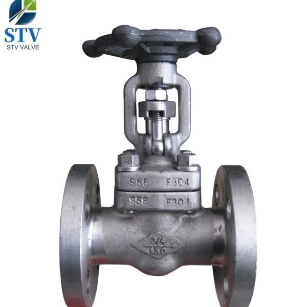 F304 Integral Flange Forged Gate Valve,DN20,150LB,API 602