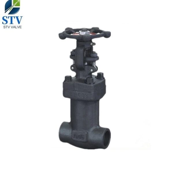 Forged Steel Bellow Gate Valve,800LB,DN20,SW End