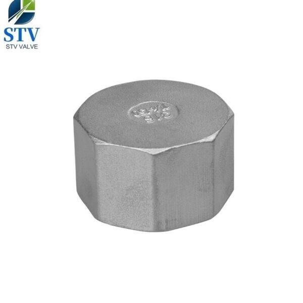 Hexagon Cap BSPP Stainless Steel 316 - immagine 4
