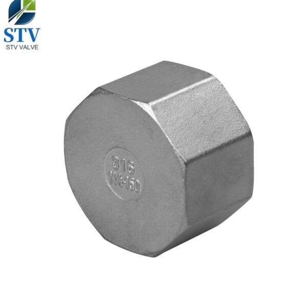Hexagon Cap BSPP Stainless Steel 316