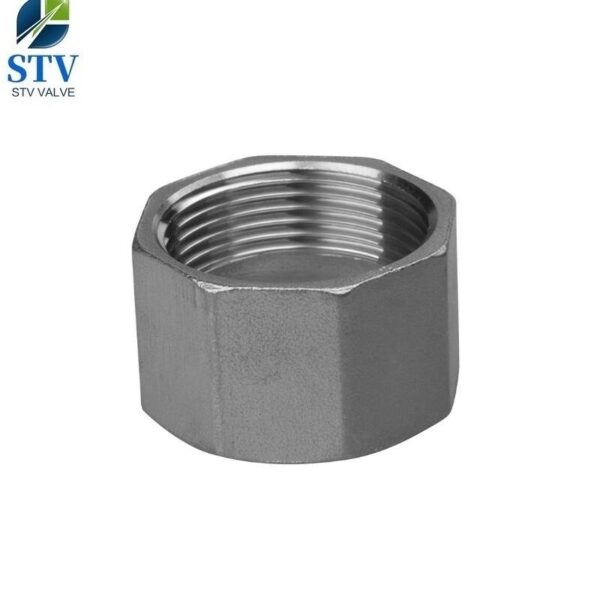 Hexagon Cap BSPP Stainless Steel 316 - immagine 2