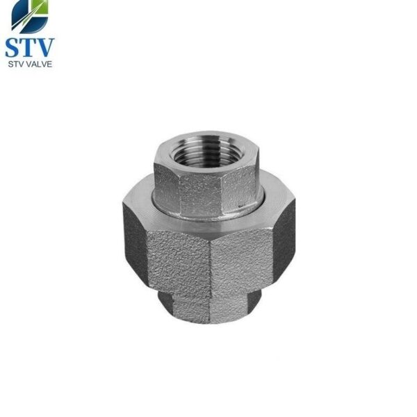 Union Conical Female Female NPT 3000LB  Stainless Steel 316L