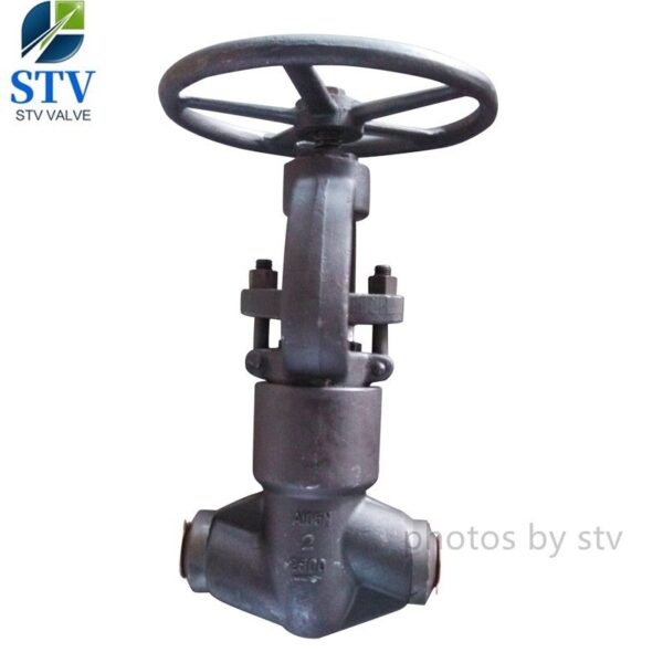 API 602 2500LB Globe Valve,A105N Body,DN50,BW End