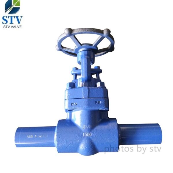 API 602 BW End Globe Valve,  F11 Body With Nipple, DN40,1500LB