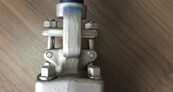 china F316L gate valves Manufacture