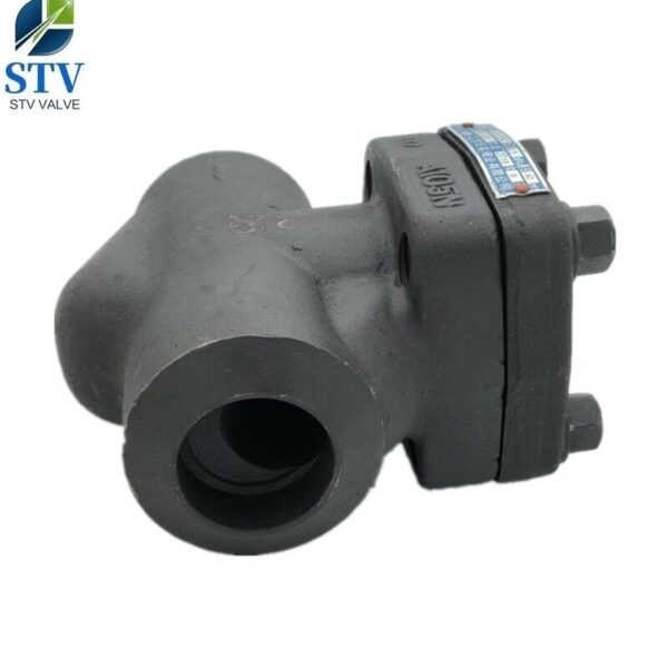 Weld End Forged Steel Piston Check Valve - immagine 2