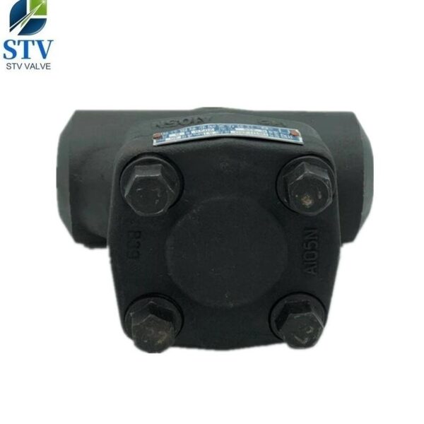Weld End Forged Steel Piston Check Valve - immagine 3