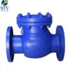 DIN Swing Check Valve,GS-C25 Body,DN100,PN40