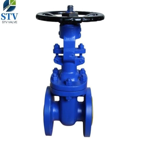 Din Bellow Seal Gate Valve,GS-25 Body,PN16,DN50 - imagine 2