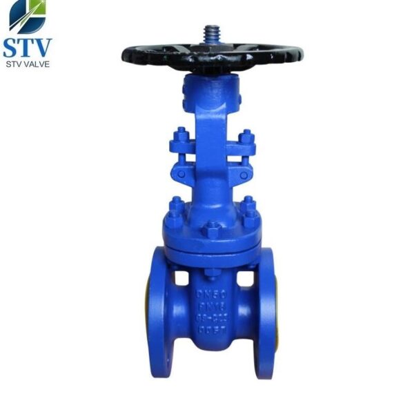 Din Bellow Seal Gate Valve,GS-25 Body,PN16,DN50