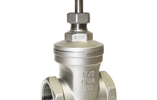 Stainless Steel Gate Valve