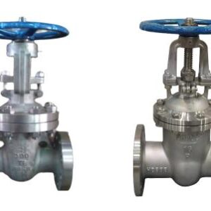 Stainless Steel Gate Valve