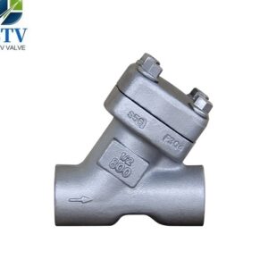 ASTM A182 F304 Y Strainer