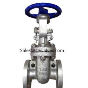 150LB CN7M Gate Valve