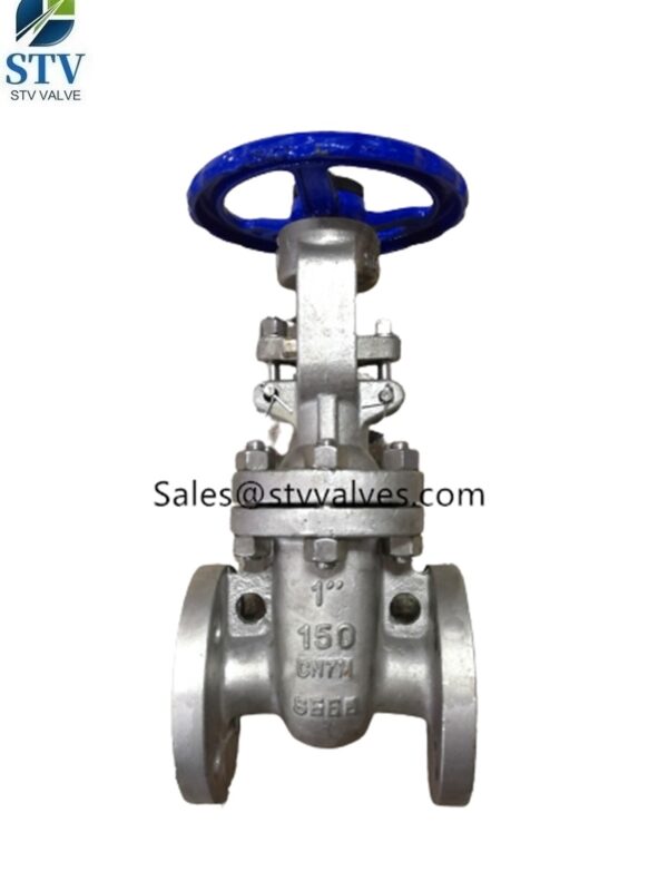 150LB CN7M Gate Valve