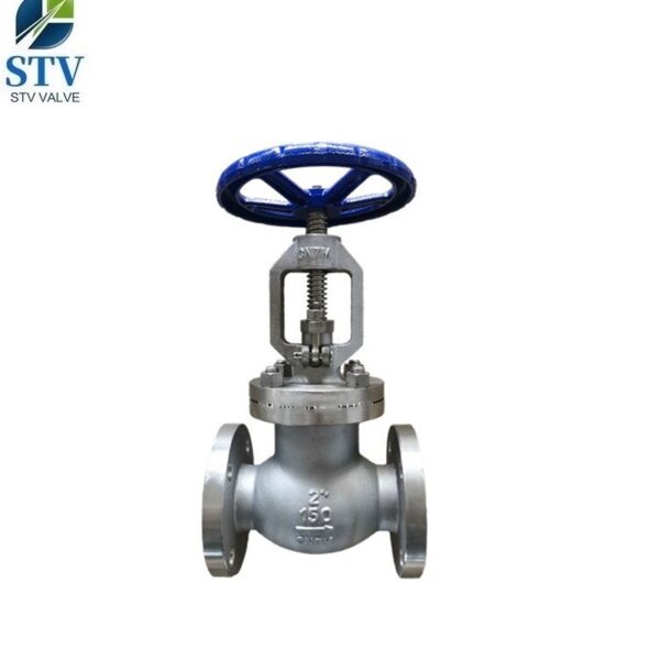 cn7m globe valve