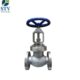 cn7m globe valve