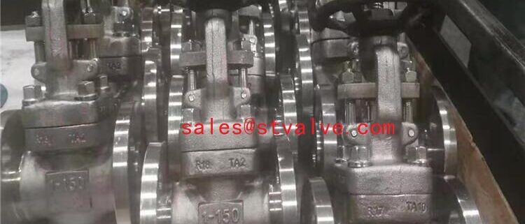 China Titanium Alloy TA2 Forged Gate Valve