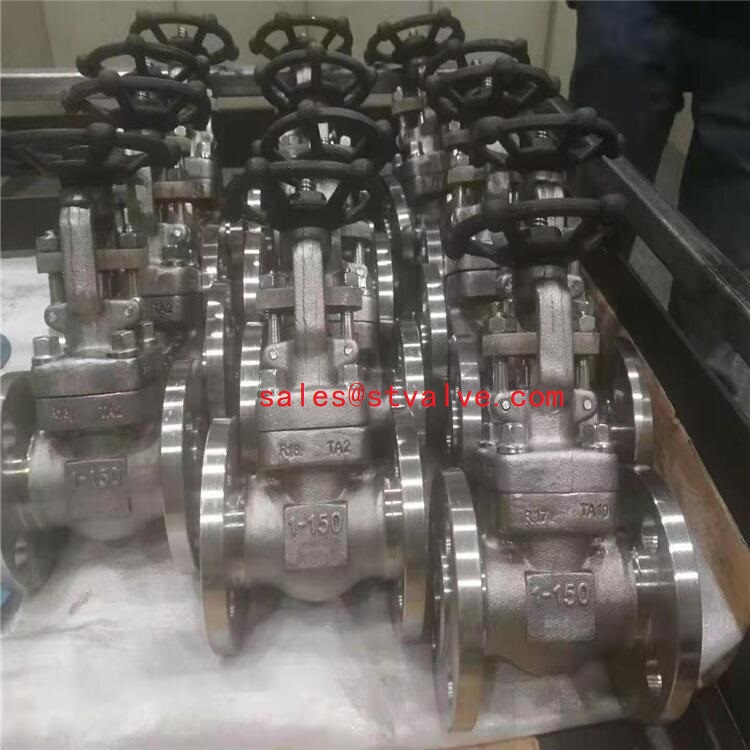 China Titanium Alloy TA2 Forged Gate Valve