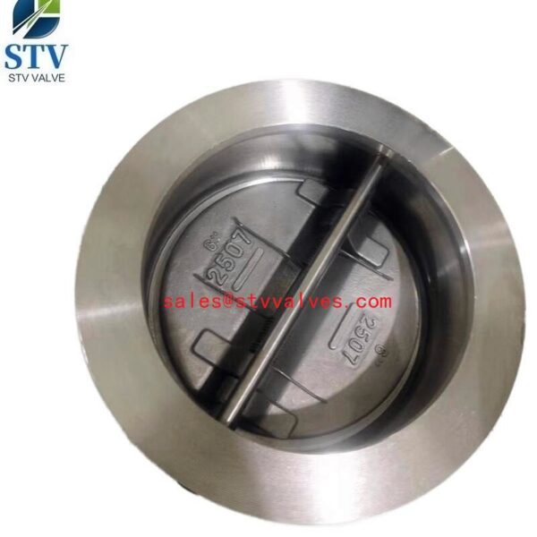 6 Inch Check Valve