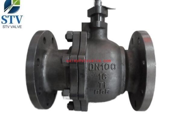 2PC DIN Ti Ball Valve