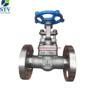 China A182 F904l Forged Gate Valve