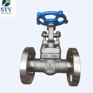 China A182 F904l Forged Gate Valve