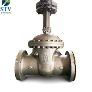 RF Flanged Ends Gate Valve Factory