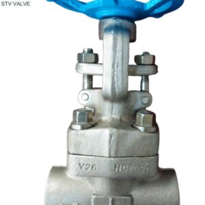 Alloy 20 Gate Valve