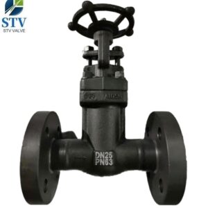 DN25 Globe Valve Manufacturer