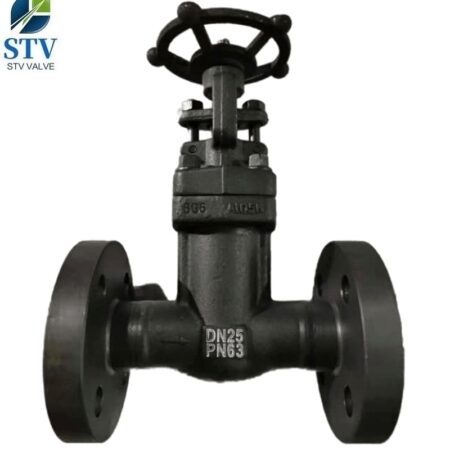 DN25 Globe Valve Manufacturer