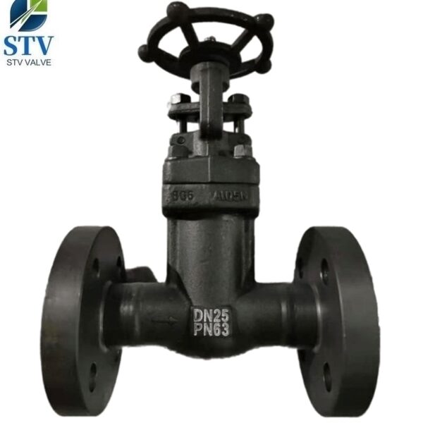 DN25 Globe Valve Manufacturer