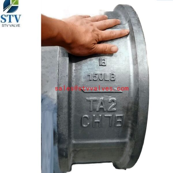 18 Inch Check Valve