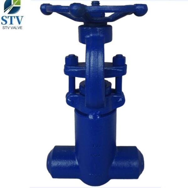 China A182 F22 Forged Gate Valve