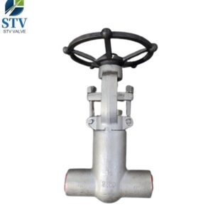 F347 Gate Valve