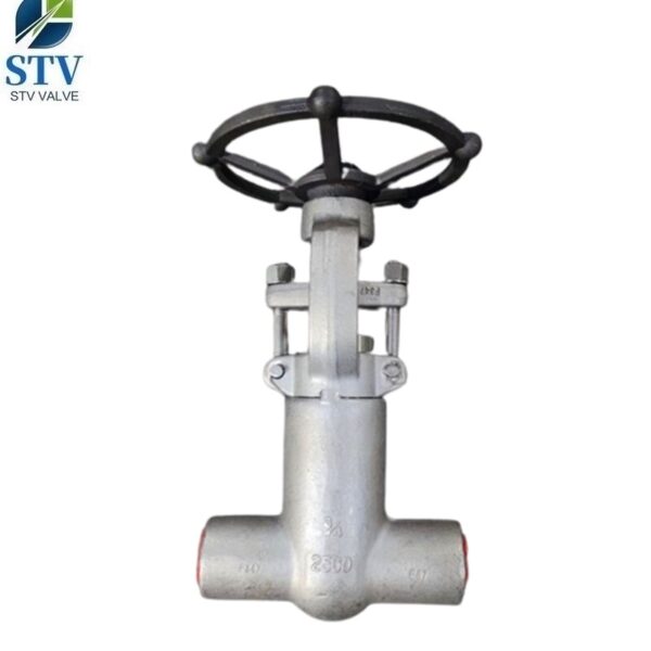 F347 Gate Valve