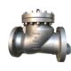 A494 CW12MW Swing Check Valve