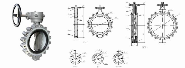 Lug Type Butterfly Valve