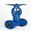 ASTM A182 F11 Forged Globe Valve,1 Inch,2500 LB,RF,API 602 - Image 3