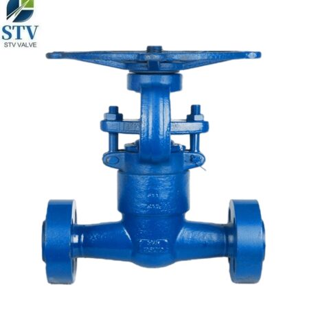 F11 Globe Valve manufacturer