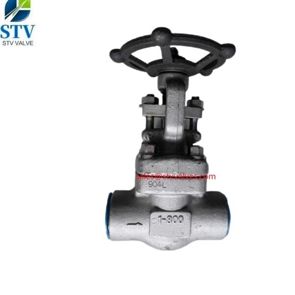 F904L Gate Valve