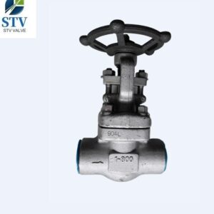 China ASTM A182 F904L Gate Valve