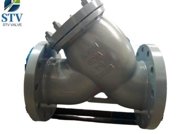 china GS-C25 Y Type Strainer Manufacturer