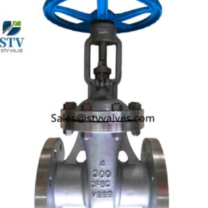 ASTM A351 CF8C Gate Valve Manufacturer in China