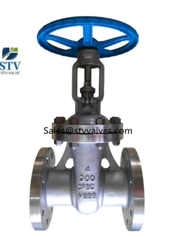 ASTM A351 CF8C Gate Valve Manufacturer in China