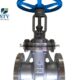 ASTM A351 CF8C Gate Valve Manufacturer in China