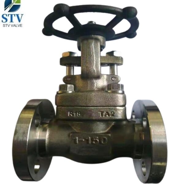 TITANIUM GATE VALVE