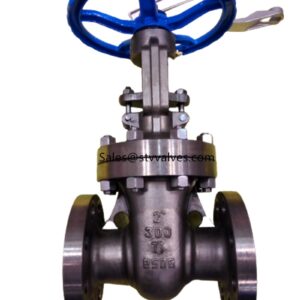 class 300 Gate Valve