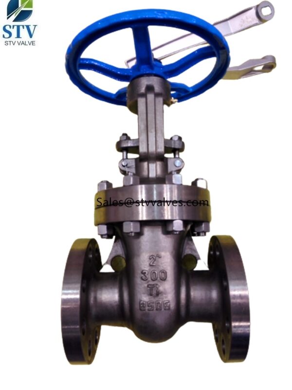 class 300 Gate Valve